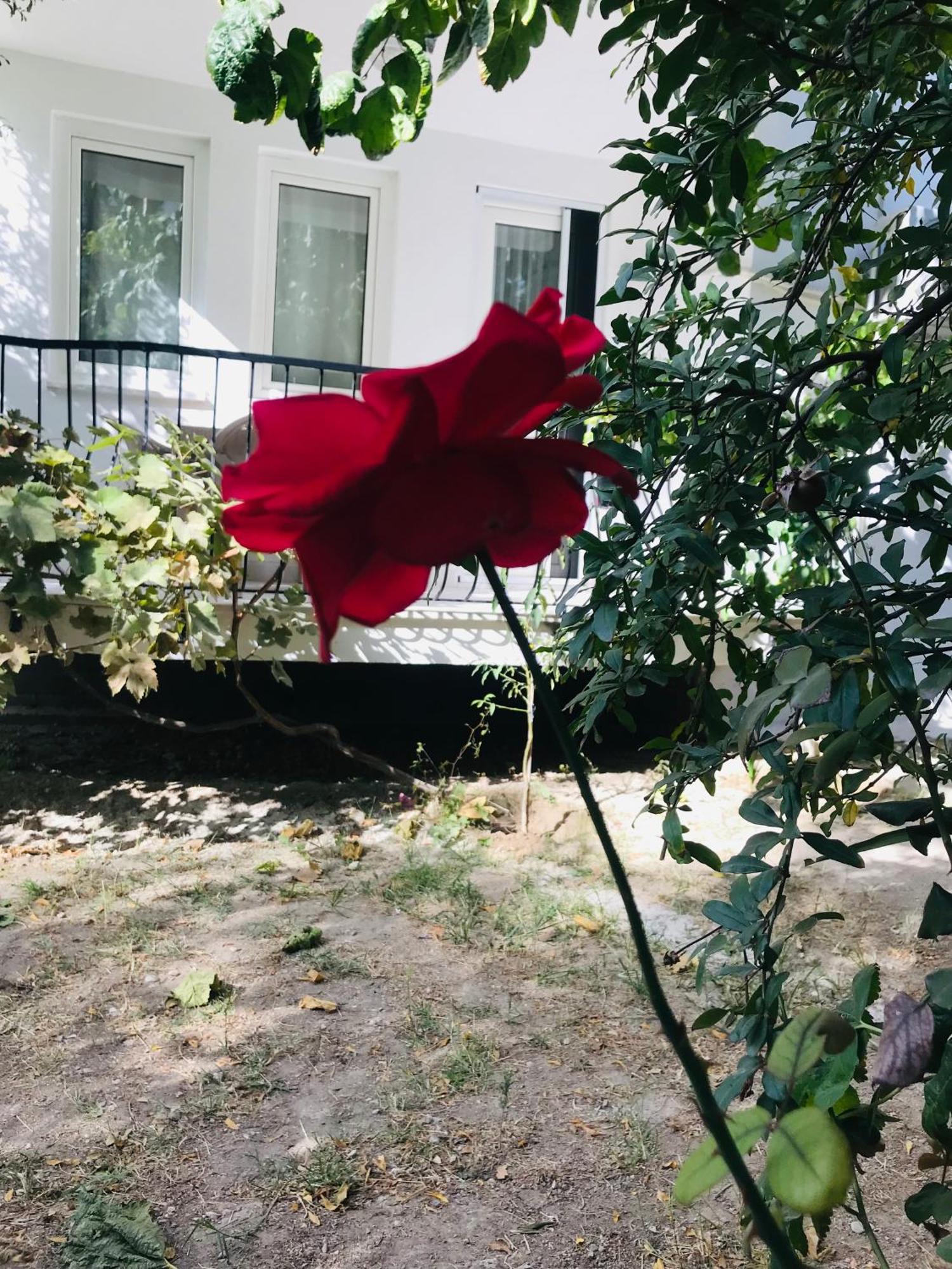 Apartamento White House Tam Donanimli Bahceli Bueyuek Ev Pamukkale Exterior foto